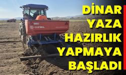 Dinar Yaza Hazırlık Yapmaya Başladı