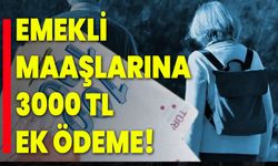 Emekli Maaşlarına 3000 TL Ek Ödeme!