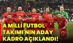 A Milli Futbol Takımı'nın aday kadrosu açıklandı!