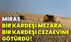 Miras bir kardeşi mezara bir kardeşi cezaevine götürdü!