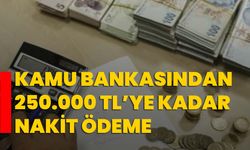 Kamu Bankasından 250.000 TL’ye Kadar Nakit Ödeme