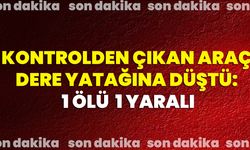 Kontrolden Çıkan Araç Dere Yatağına Düştü: 1 Ölü, 1 Yaralı