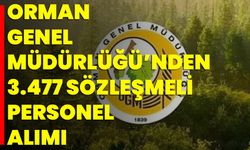 Orman Genel Müdürlüğü’nden 3.477 Sözleşmeli Personel Alımı