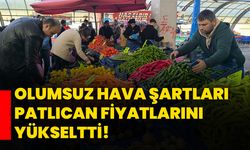 Olumsuz hava şartları patlıcan fiyatlarını yükseltti!