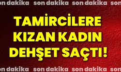 Tamircilere kızan kadın dehşet saçtı!