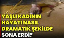 Yaşlı kadının hayatı nasıl dramatik şekilde sona erdi?