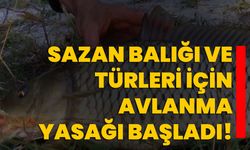 Sazan balığı ve türleri için avlanma yasağı başladı!