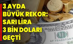 3 Ayda Büyük Rekor: Sarı Lira 3 Bin Doları Geçti