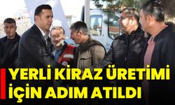 Yerli Kiraz Üretimi İçin Adım Atıldı