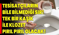 Tesisatçıların bile bilmediği sır! Tek bir kaşık ile klozet pırıl pırıl olacak!