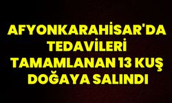 Afyonkarahisar'da tedavileri tamamlanan 13 kuş doğaya salındı!