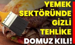 Yemek Sektöründe Gizli Tehlike: Domuz Kılı!