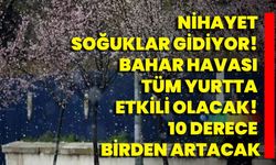 Nihayet Soğuklar Gidiyor! Bahar Havası Tüm Yurtta Etkili Olacak! 10 Derece Birden Artacak