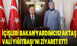 İçişleri Bakan Yardımcısı Aktaş,  Vali Yiğitbaşı’nı Ziyaret Etti