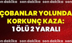 Çobanlar Yolunda Korkunç Kaza: 1 Ölü 2 Yaralı