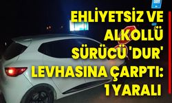 Ehliyetsiz Ve Alkollü Sürücü 'Dur' Levhasına Çarptı: 1 Yaralı