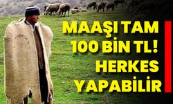 Maaşı Tam 100 Bin TL! Herkes Yapabilir