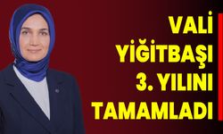 Vali Yiğitbaşı 3. Yılını Tamamladı