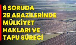6 soruda 2B arazilerinde mülkiyet hakları ve tapu süreci