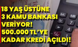 18 Yaş Üstüne 3 Kamu Bankası Veriyor! 500.000 TL’ye Kadar Kredi Açıldı!