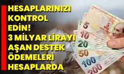 Hesaplarınızı Kontrol Edin! 3 Milyar Lirayı Aşan Destek Ödemeleri Hesaplarda