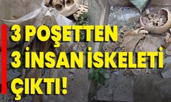 3 Poşetten 3 İnsan İskeleti Çıktı