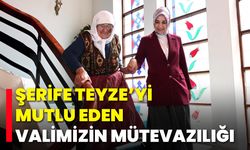 Şerife Teyze'yi Mutlu Eden Valimizin Mütevazılığı
