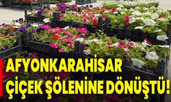 Afyonkarahisar çiçek şölenine dönüştü!