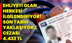 Ehliyeti olan herkesi ilgilendiriyor! Son tarih yaklaşıyor… Cezası 4.423 TL