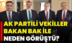AK Partili Vekiller Bakan Bak ile Neden Görüştü?