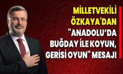 Milletvekili Özkaya'dan "Anadolu’da Buğday ile Koyun, Gerisi Oyun" Mesajı