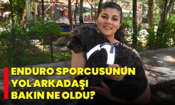 Enduro sporcusunun yol arkadaşı köpeği "Buji" oldu