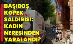 Başıboş Köpek Saldırısı: Kadın Neresinden Yaralandı?