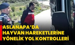Aslanapa’da hayvan hareketlerine yönelik yol kontrolleri