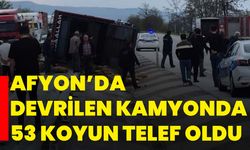 Afyon’da devrilen kamyonda 53 koyun telef oldu