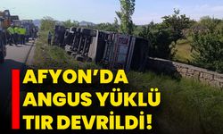 Afyon’da Angus Yüklü Tır Devrildi!