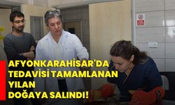 Afyonkarahisar'da tedavisi tamamlanan yılan doğaya salındı!