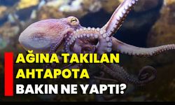Ağına Takılan Ahtapota Bakın Ne Yaptı?