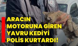 Aracın motoruna giren yavru kediyi polis kurtardı!