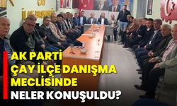AK Parti Çay İlçe Danışma Meclisinde Neler Konuşuldu?