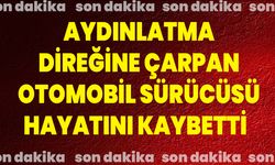 Aydınlatma direğine çarpan otomobil sürücüsü hayatını kaybetti
