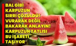 Bal Gibi Karpuzun Sırrı Çözüldü! Vurarak Değil, Bakarak Anlayın! Karpuzun Tatlısı Bu İşareti Taşıyor