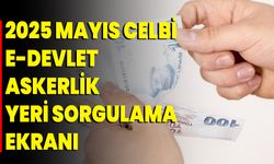 2025 Mayıs celbi e-devlet askerlik yeri sorgulama ekranı