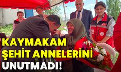 Kaymakam şehit annelerini unutmadı!