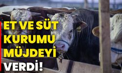 Et Ve Süt Kurumu müjdeyi verdi!