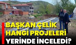 Başkan Çelik Hangi Projeleri Yerinde İnceledi?