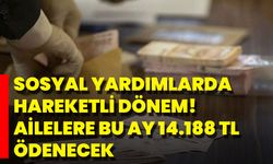 Sosyal Yardımlarda Hareketli Dönem! Ailelere Bu Ay 14.188 TL Ödenecek