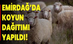 Emirdağ’da Koyun Dağıtımı Yapıldı!