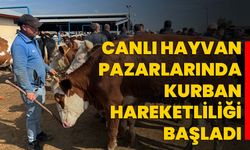 Canlı hayvan pazarlarında kurban hareketliliği başladı