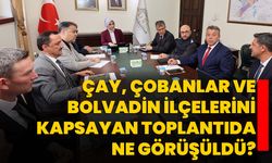 Çay, Çobanlar ve Bolvadin ilçelerini kapsayan toplantıda ne görüşüldü?